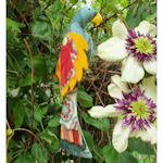 Monty the Parrot Softie