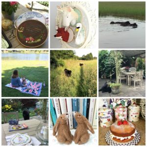 PicMonkey Collage3