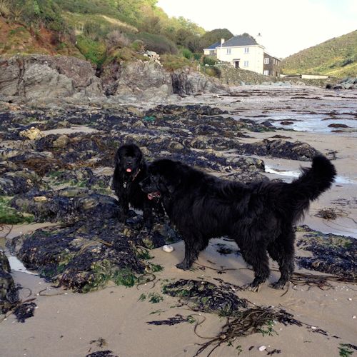 beach06a