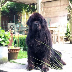 blog02
