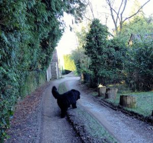 blog06