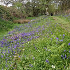 phone pics 063