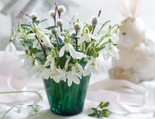 Snowdrops and willow  bucket in glass, selective focus