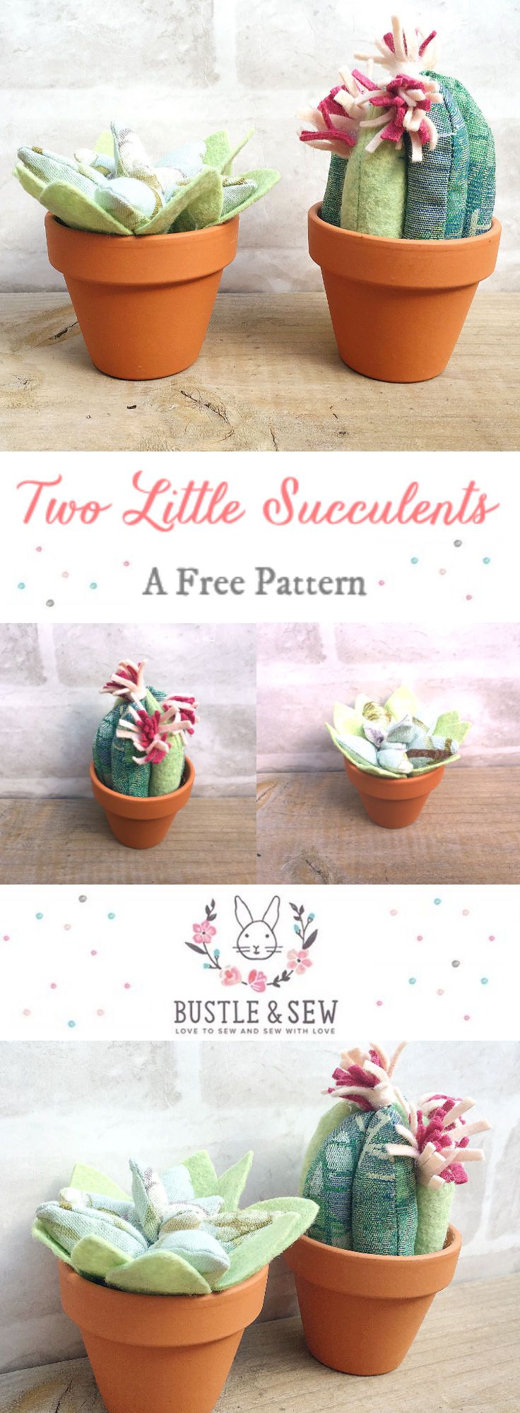 Succulents by Bustle & Sew